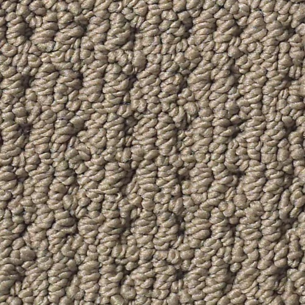 Anderson Tuftex Cabo Cove Carpet in Homestead