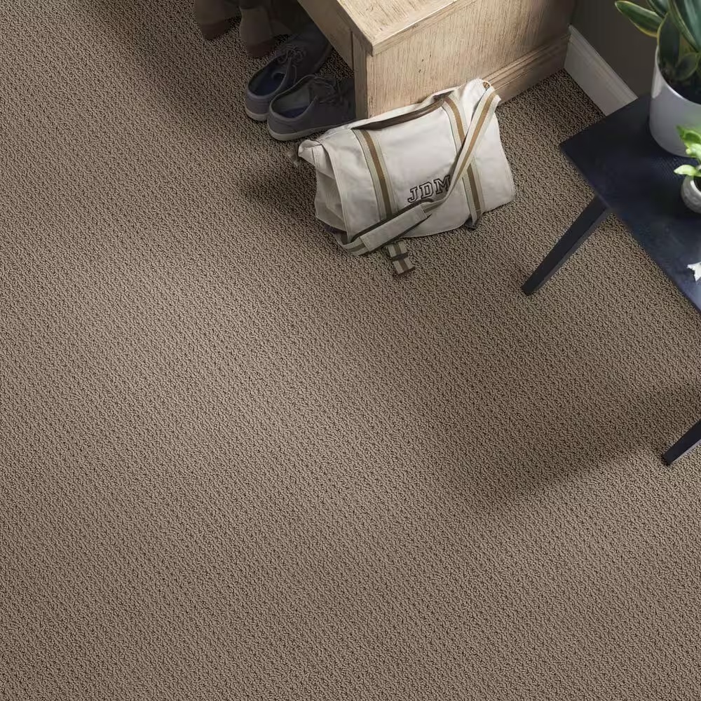 46635-anderson-tuftex-cabo-cove-carpet-in-homestead-1.jpg