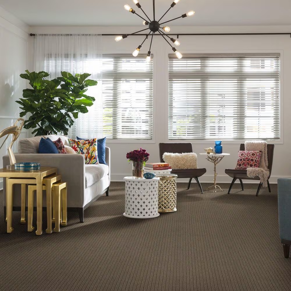 46635-anderson-tuftex-cabo-cove-carpet-in-homestead-1.jpg