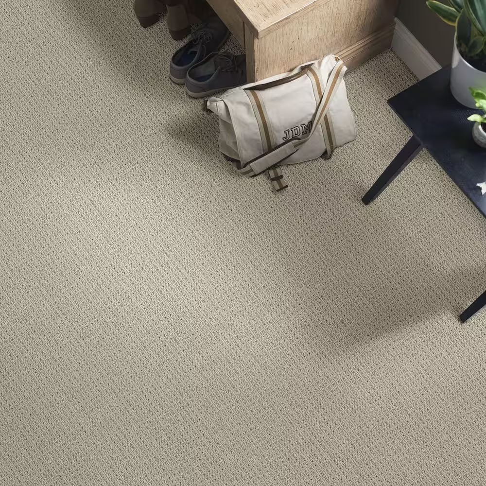 46643-anderson-tuftex-cabo-cove-carpet-in-pavestone-1.jpg