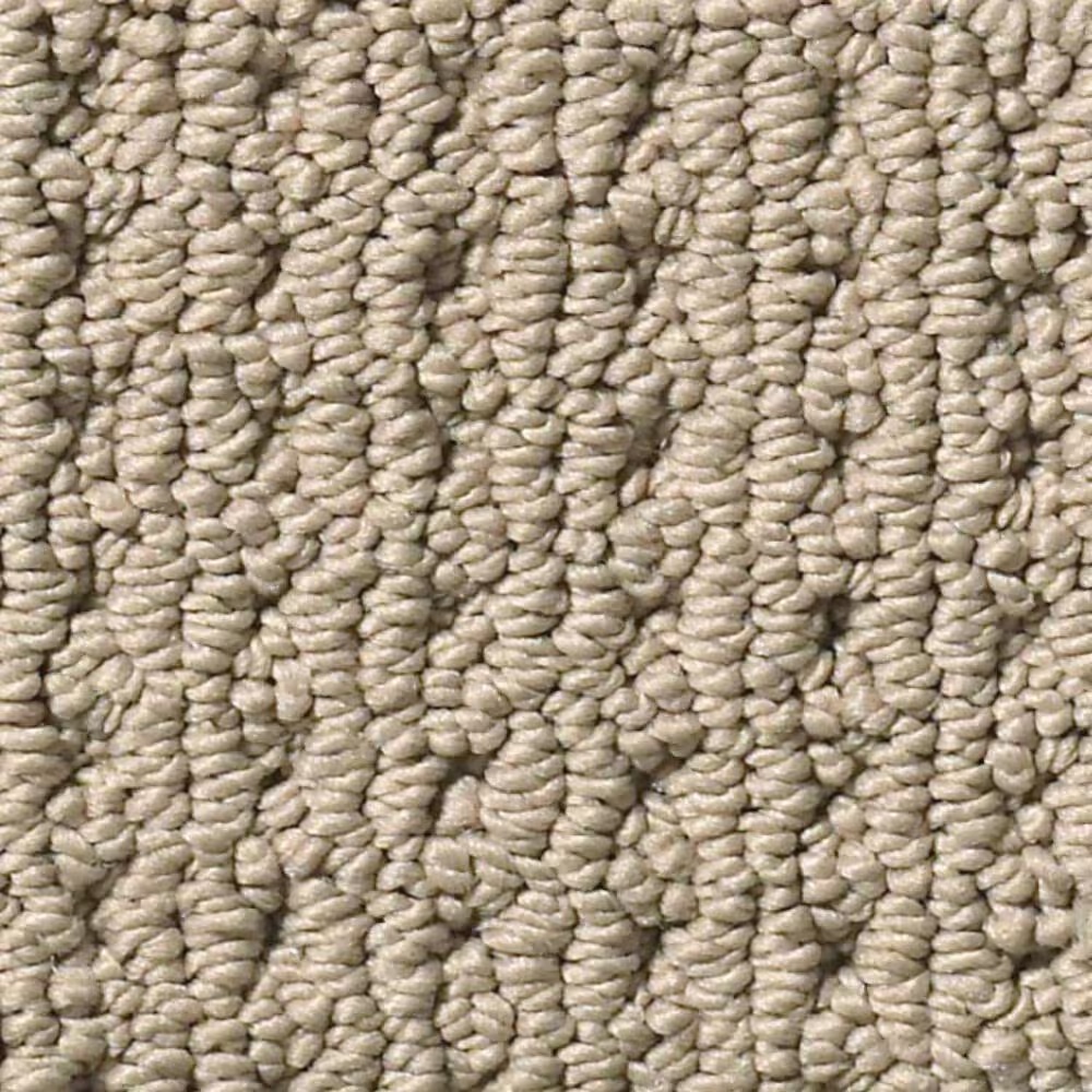 Anderson Tuftex Cabo Cove Carpet in Latte