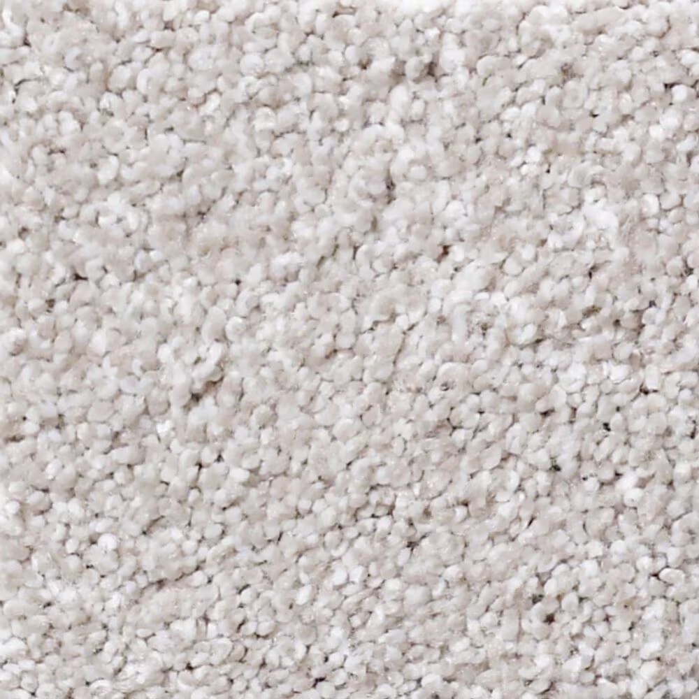 Shaw Foundations Always Ready I Carpet in Realist