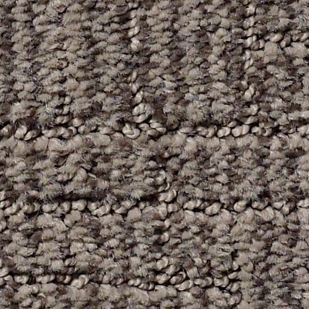 Shaw Nomad Carpet in Portland