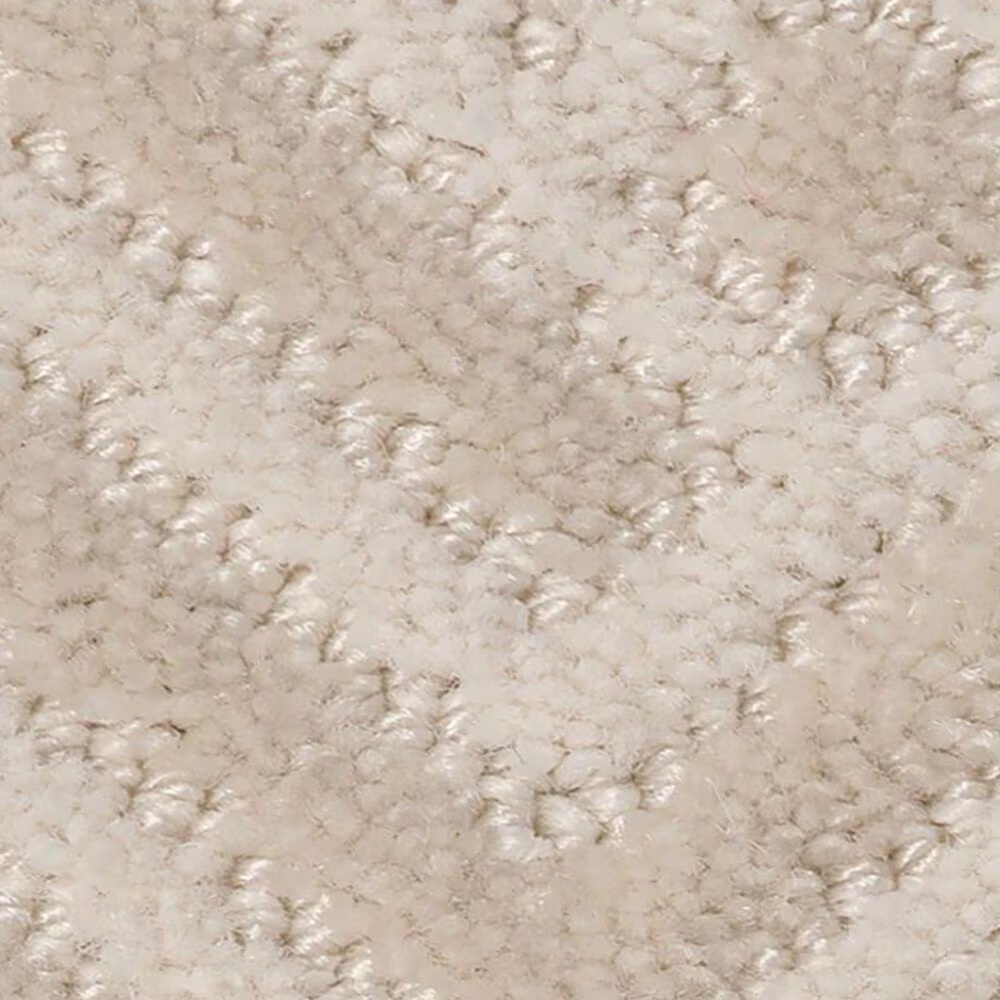 Anderson Tuftex Artifact Carpet in Sparkling