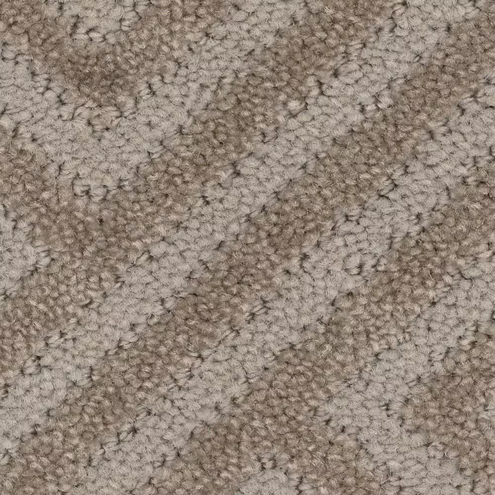 Anderson Tuftex Artifact Carpet in Shady