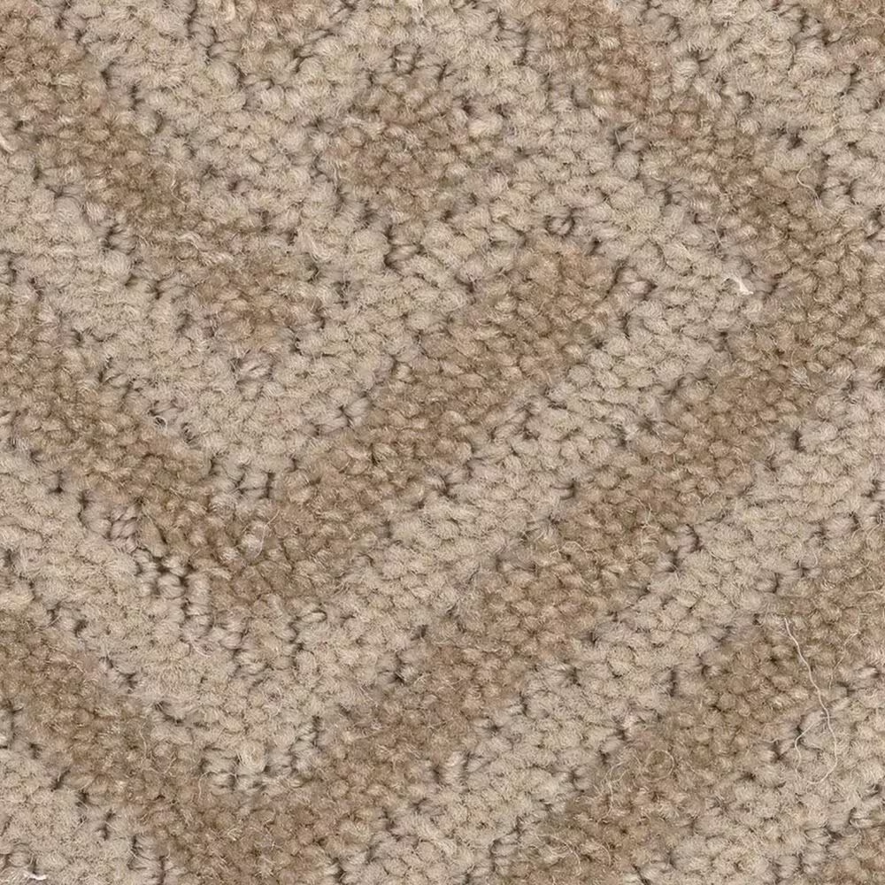 Anderson Tuftex Artifact Carpet in Birchwood