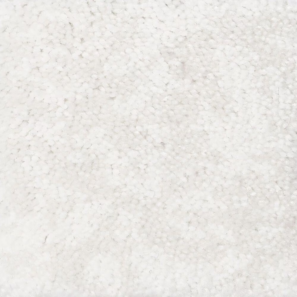 Anderson Tuftex Caress Free Spirit Carpet in Snowfall