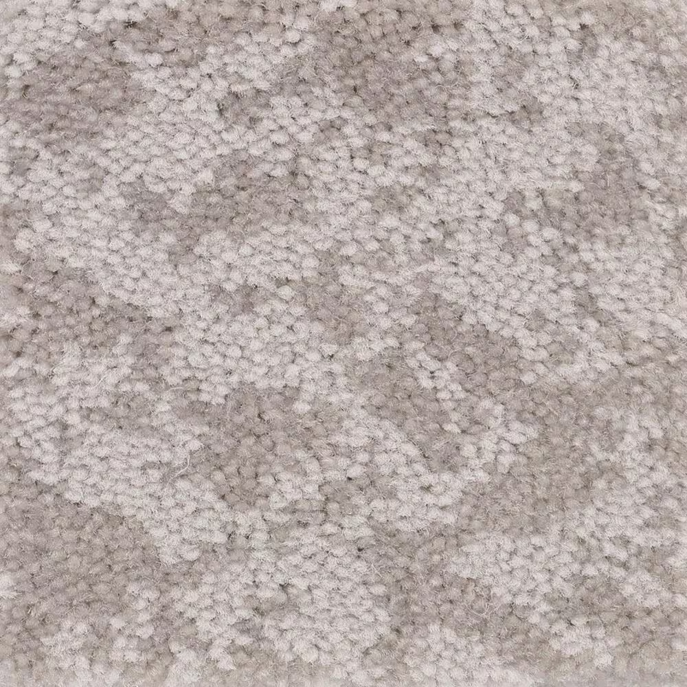 Anderson Tuftex Caress Free Spirit Carpet in Cold Winter