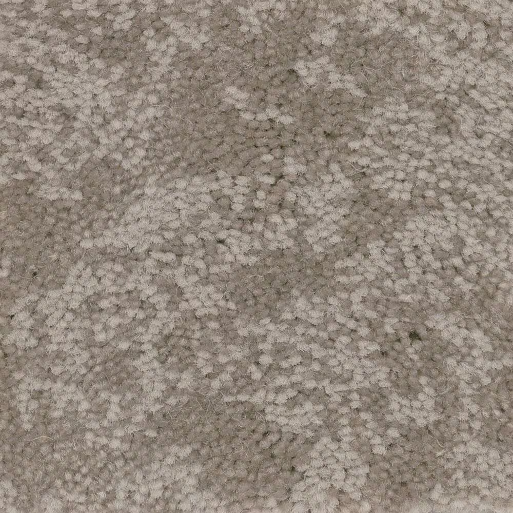 Anderson Tuftex Caress Free Spirit Carpet in Stucco