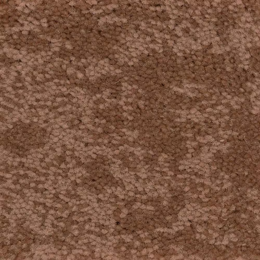 Anderson Tuftex Caress Free Spirit Carpet in Sunbaked