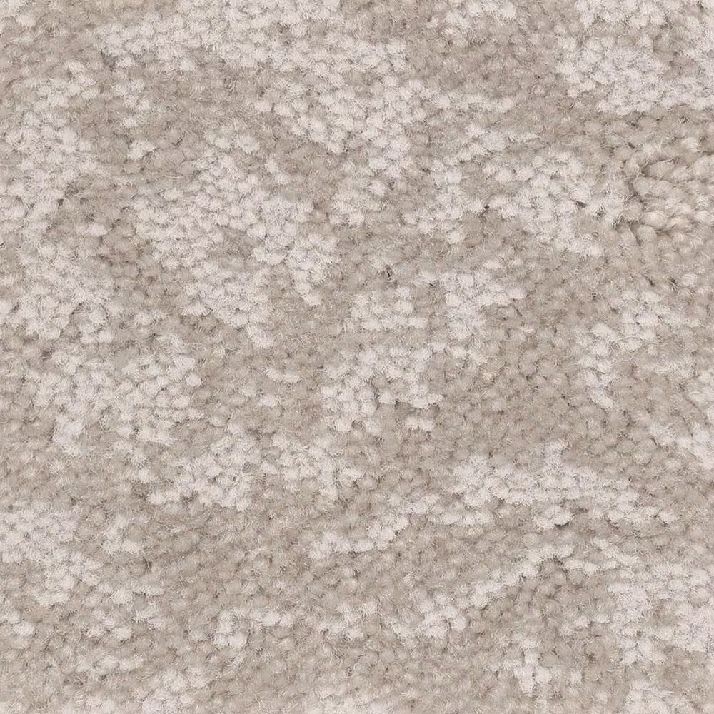 Anderson Tuftex Caress Free Spirit Carpet in Baltic Stone