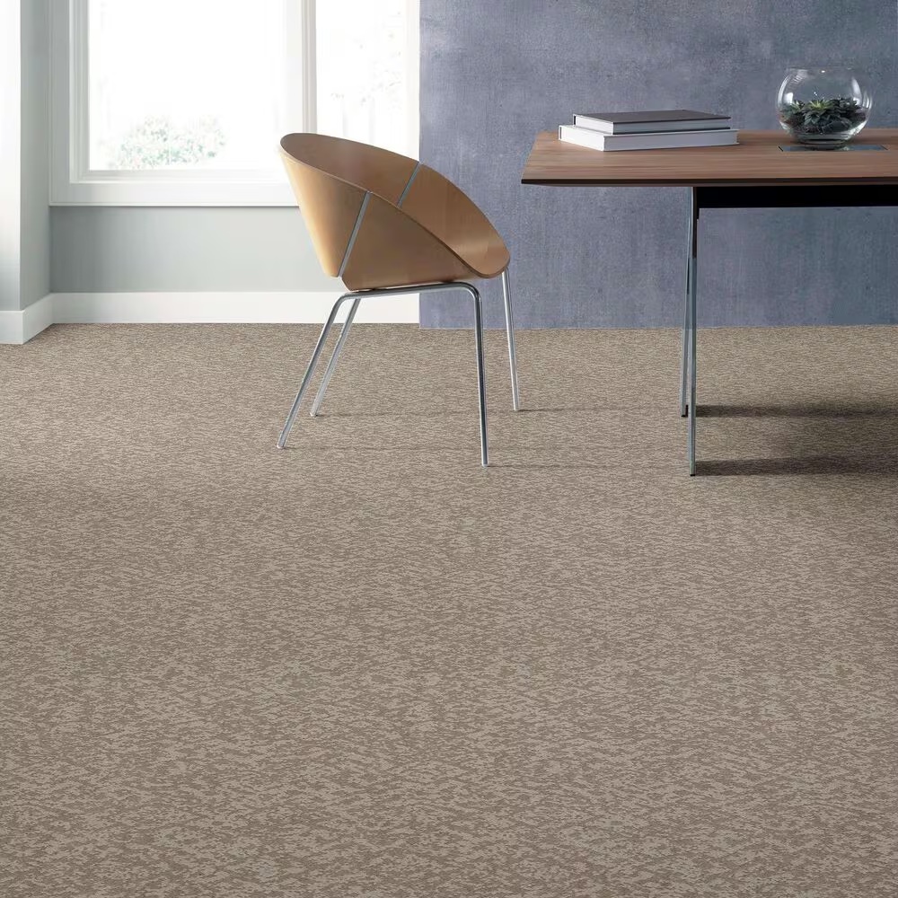 46709-anderson-tuftex-caress-free-spirit-carpet-in-baltic-stone-1.jpg