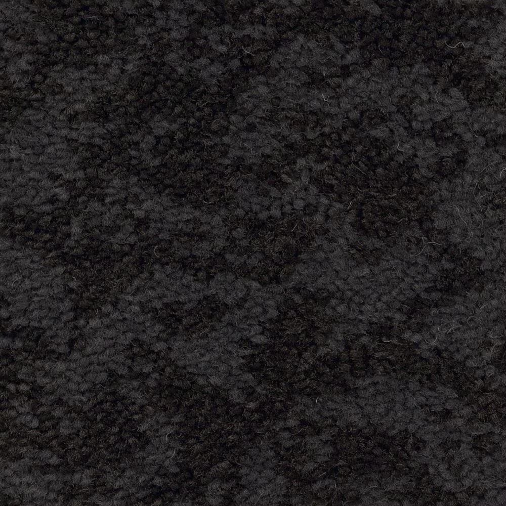 Anderson Tuftex Caress Free Spirit Carpet in Wrought Iron