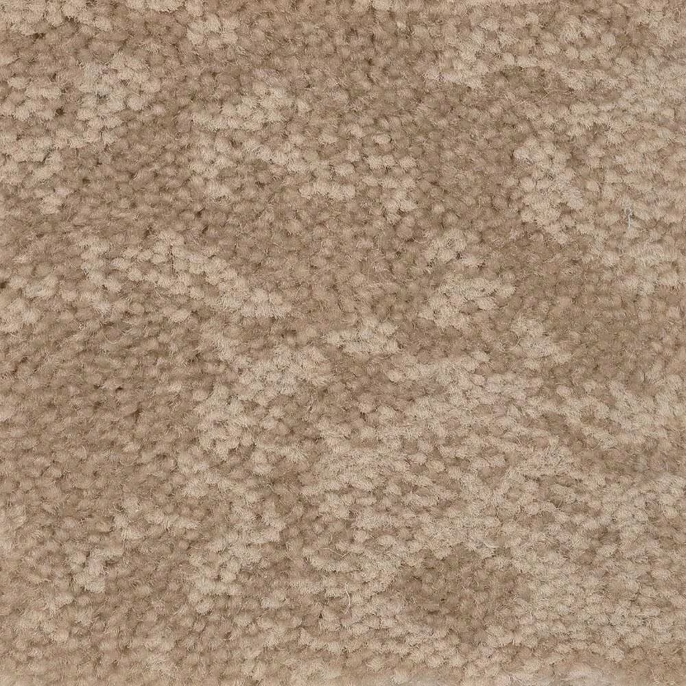 Anderson Tuftex Caress Free Spirit Carpet in Natural Beauty