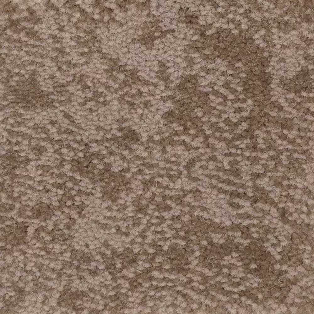 Anderson Tuftex CaresFree Spirit Carpet in Tumbleweed