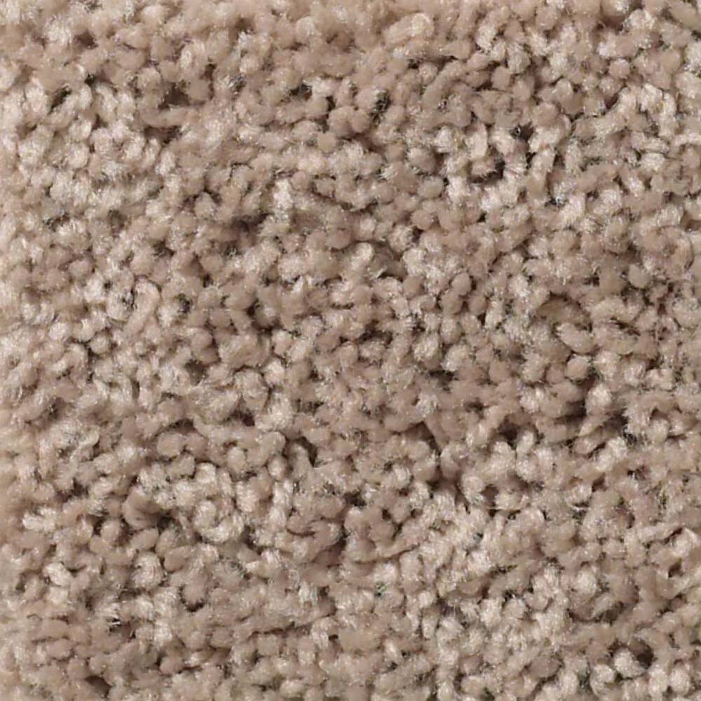 Shaw Break Away Solid Carpet in Warm Sand