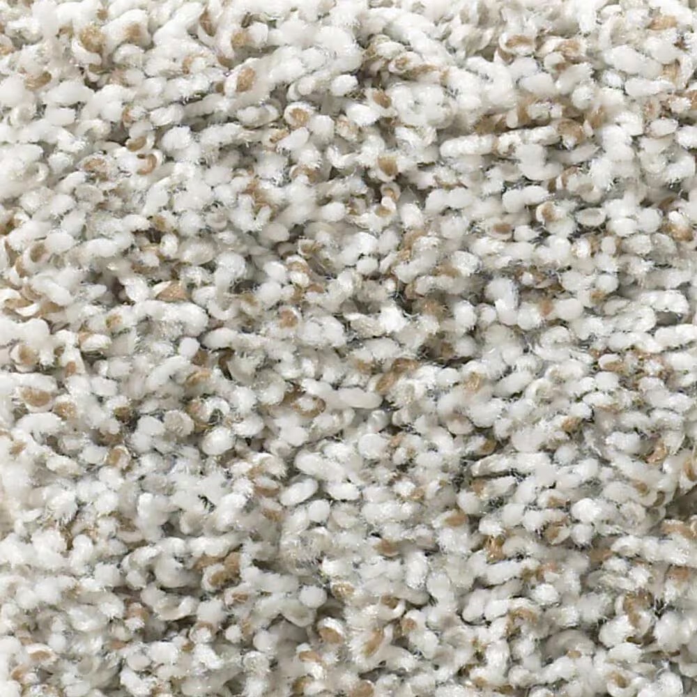 Shaw Break Away Tonal Carpet in Chrome