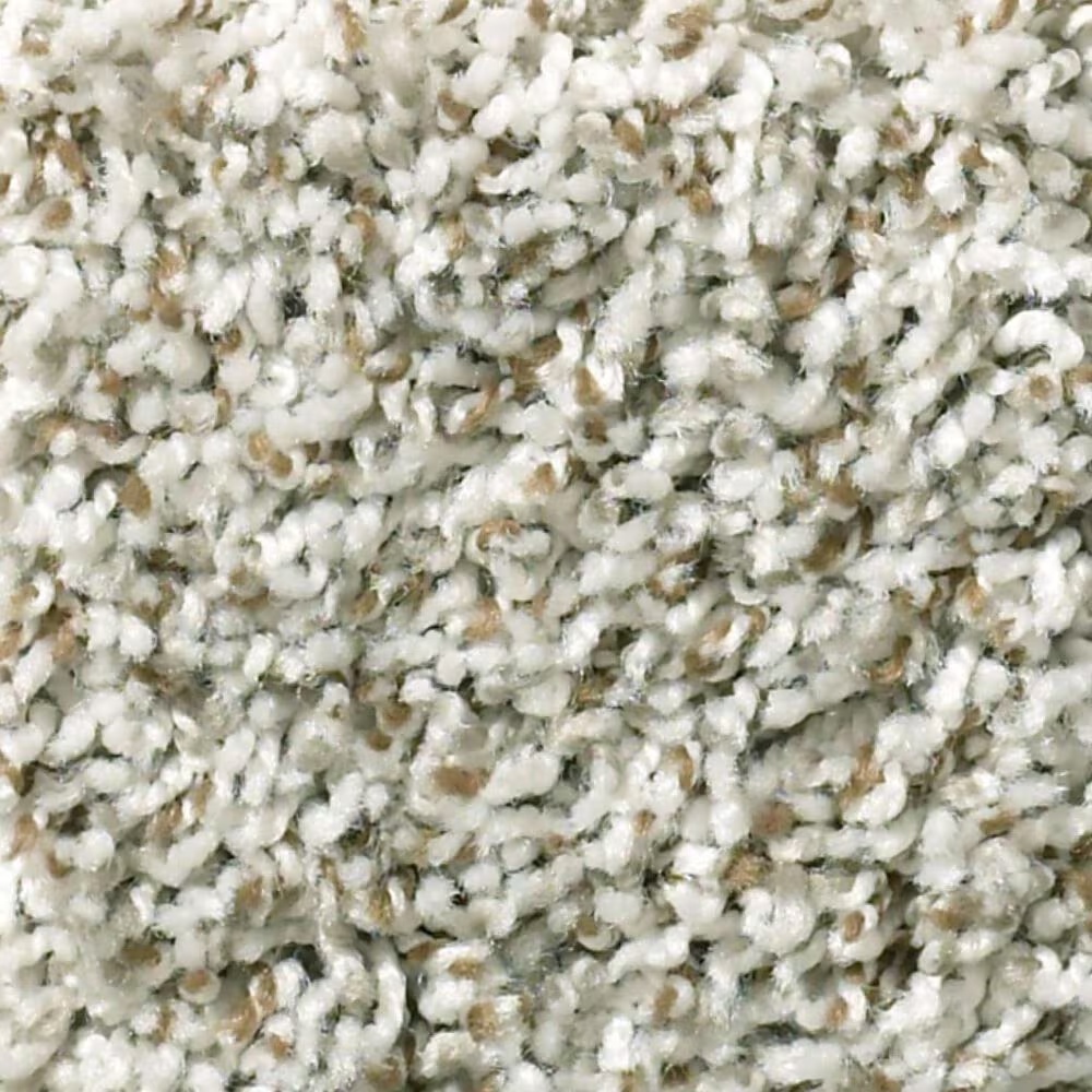 Shaw Break Away Tonal Carpet in Snow Peak