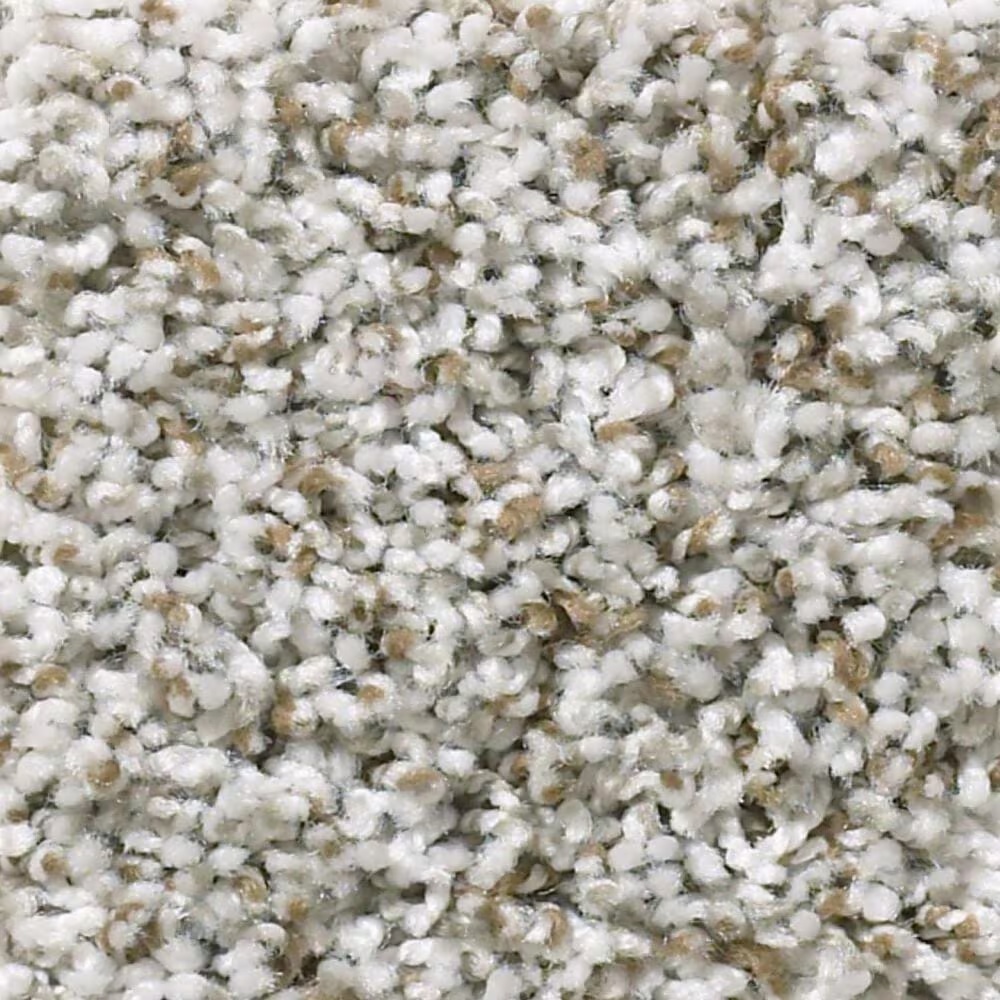 Shaw Break Away Tonal Carpet in Windy City