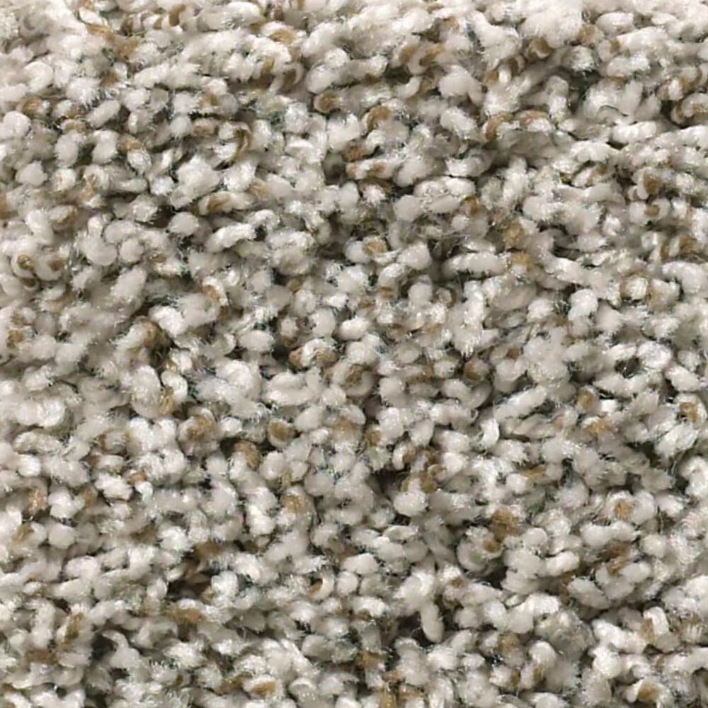 Shaw Break Away Tonal Carpet in Almond