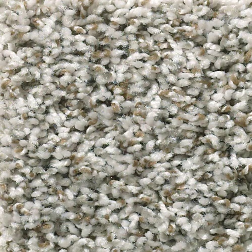 Shaw Break Away Tonal Carpet in Exposed Beam