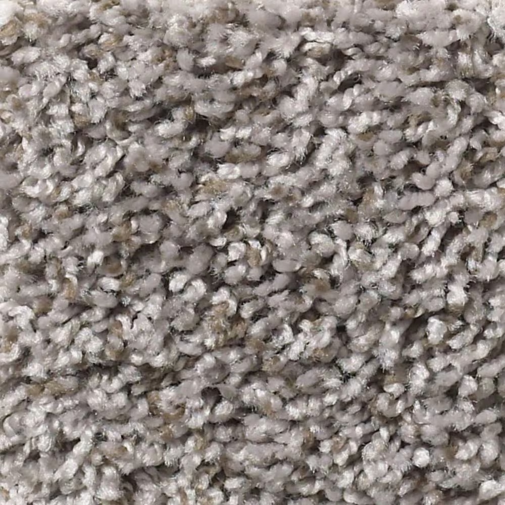 Shaw Break Away Tonal Carpet in Washed Suede
