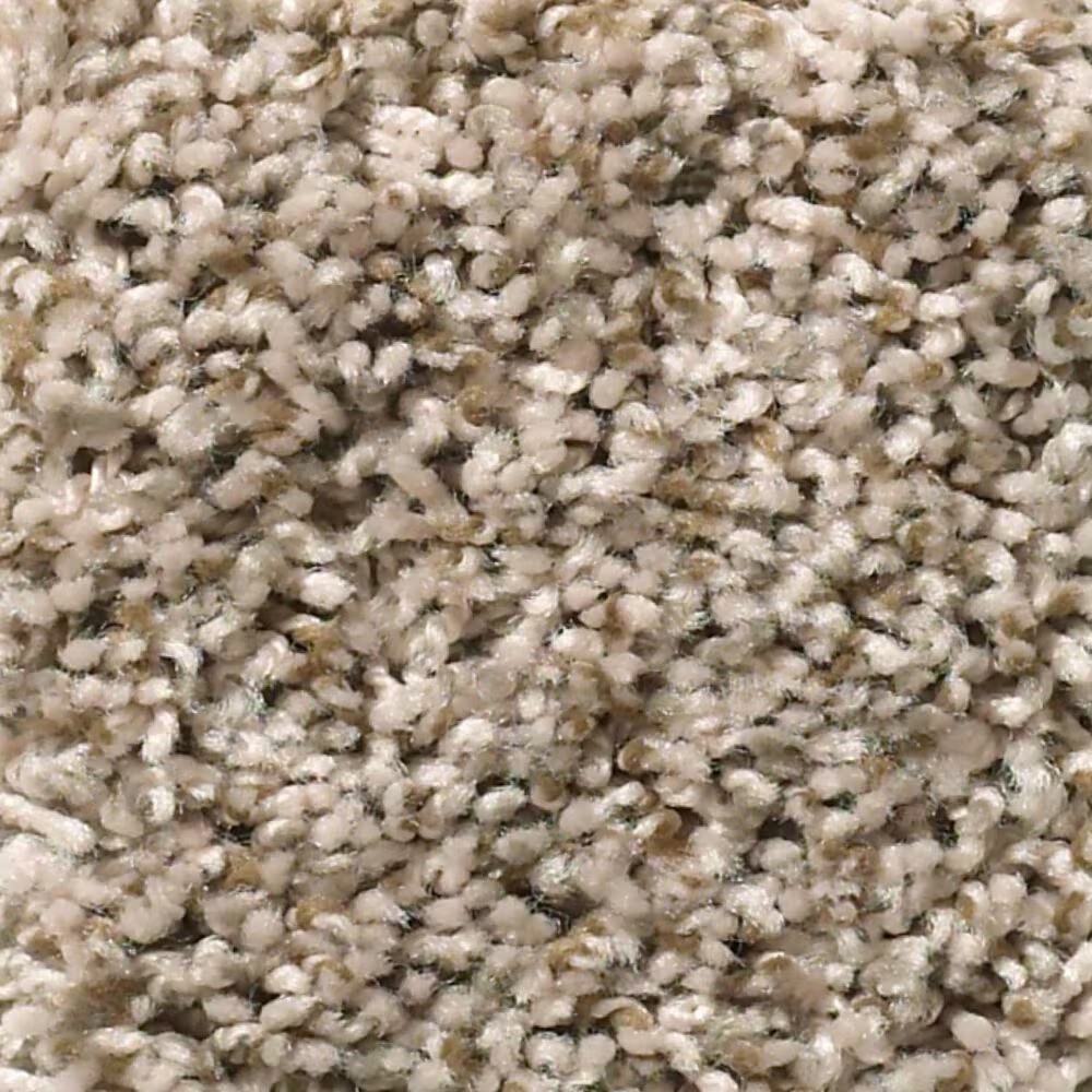 Shaw Break Away Tonal Carpet in Blond Wood