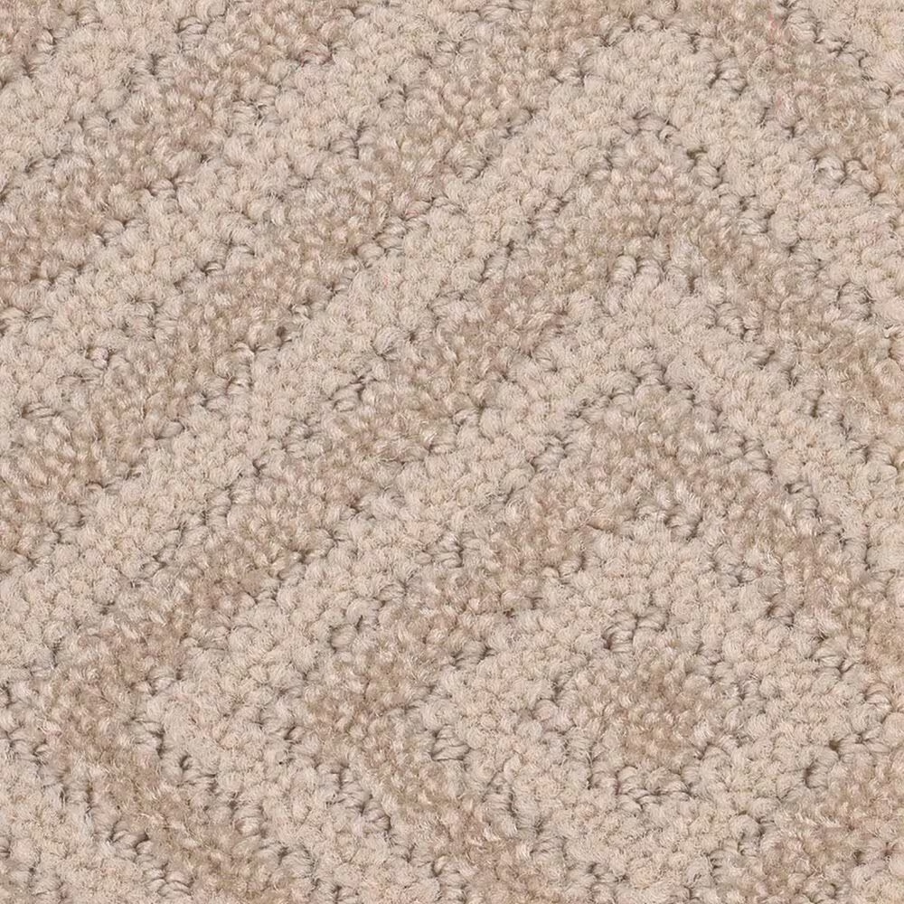 Anderson Tuftex Aristocrat Carpet in Cashmere