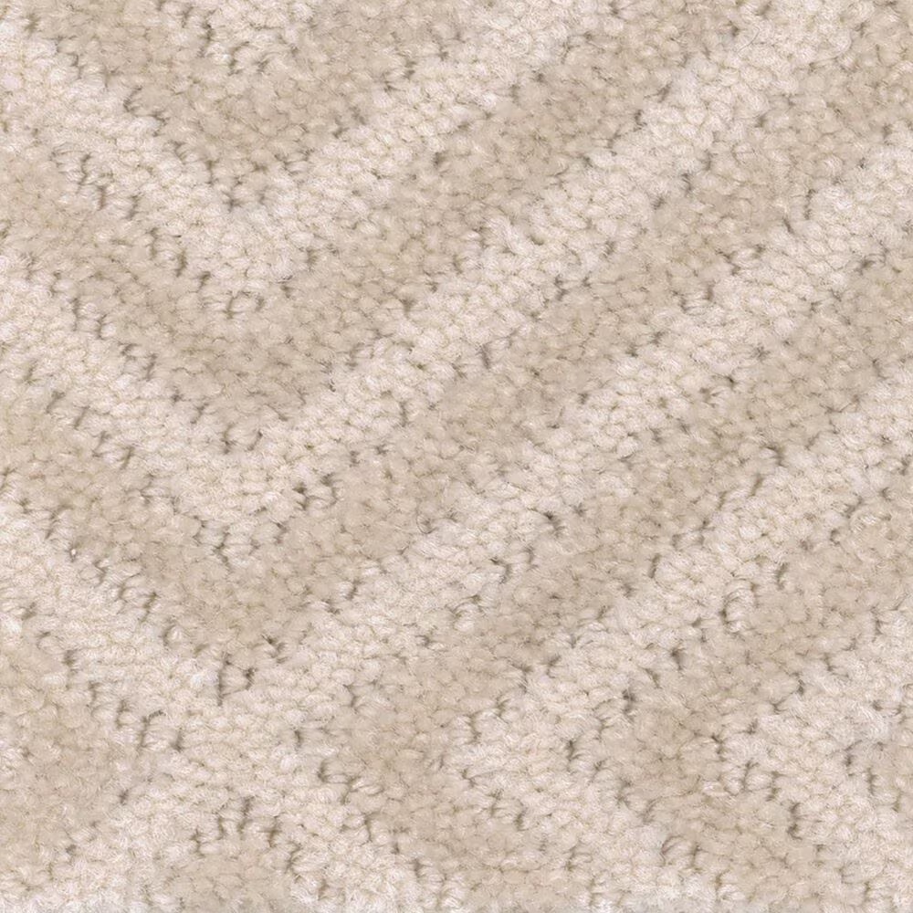 Anderson Tuftex Aristocrat Carpet in Sparkling