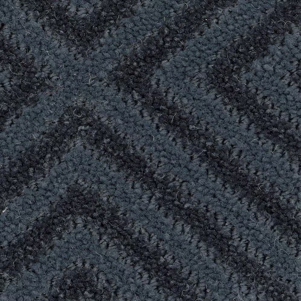 Anderson Tuftex Aristocrat Carpet in Solstice
