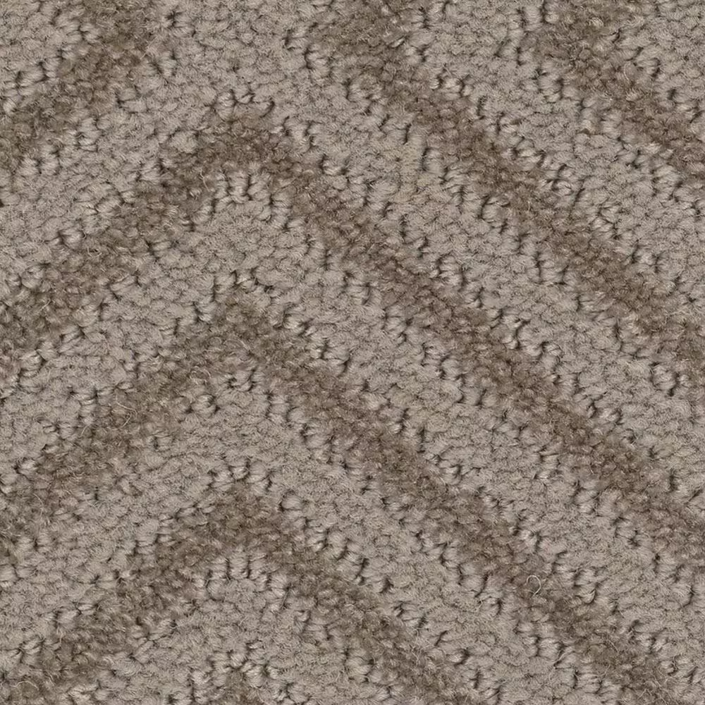 Anderson Tuftex Aristocrat Carpet in Shady