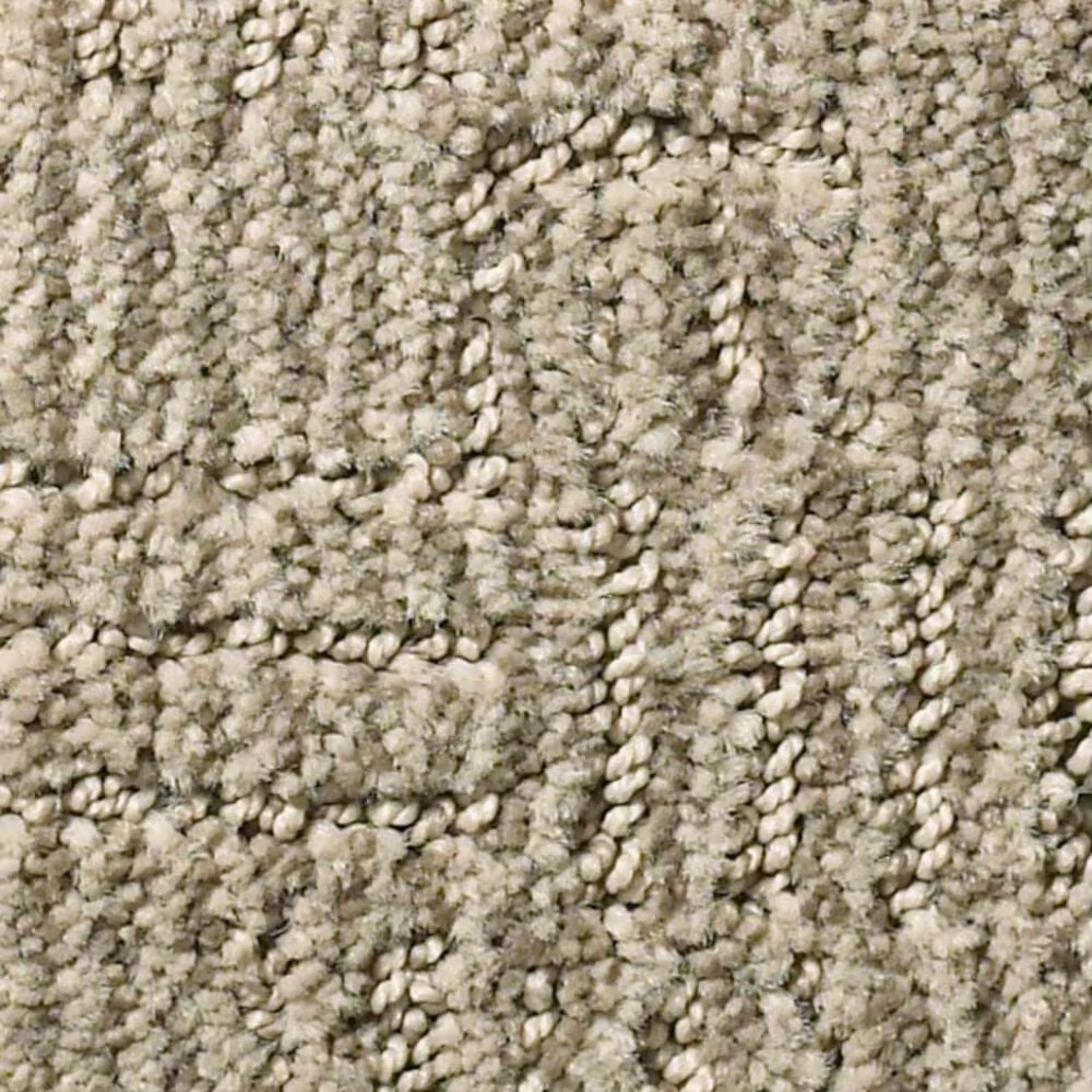 Anderson Tuftex Loredo Carpet in Sandlot