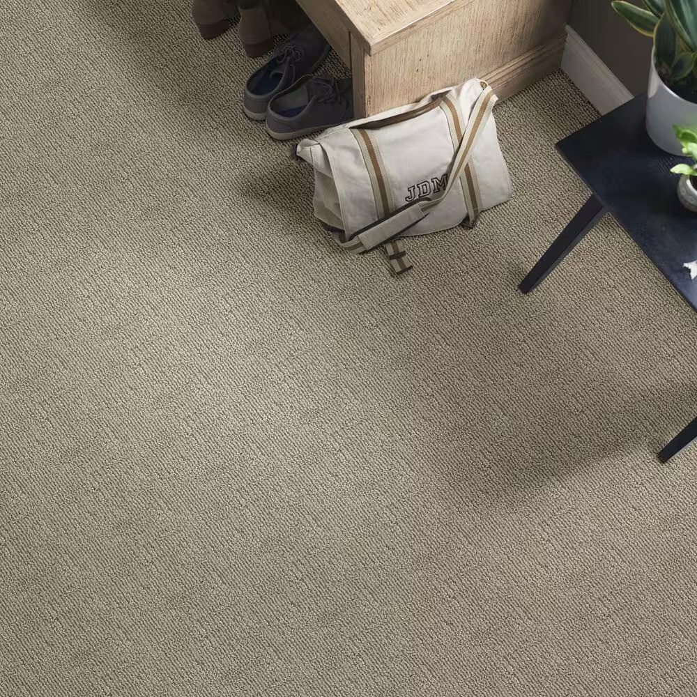 46779-anderson-tuftex-loredo-carpet-in-sandlot-1.jpg