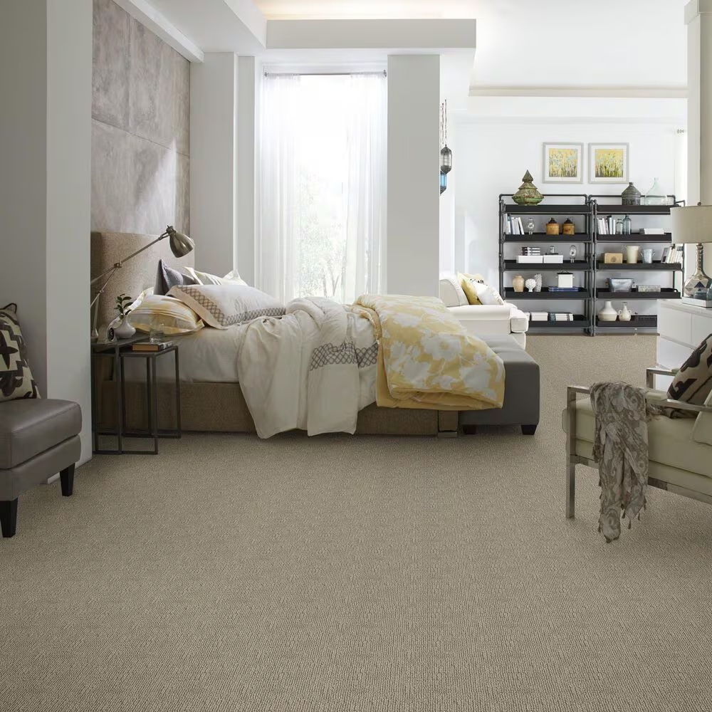 46779-anderson-tuftex-loredo-carpet-in-sandlot-1.jpg