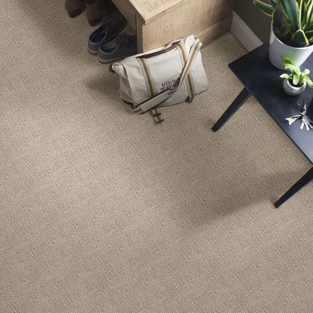46780-anderson-tuftex-loredo-carpet-in-adobe-beige-1.jpg