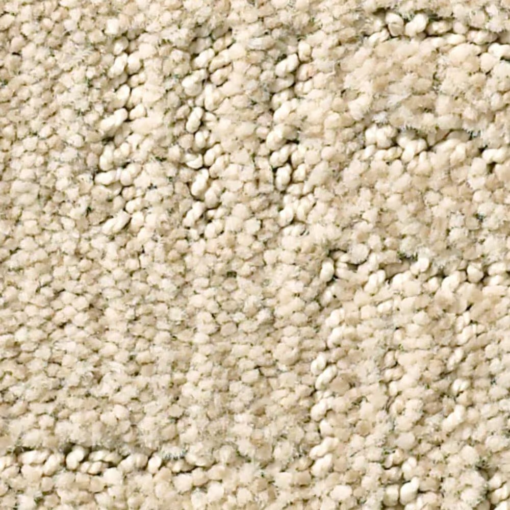 Anderson Tuftex Loredo Carpet in Parchment