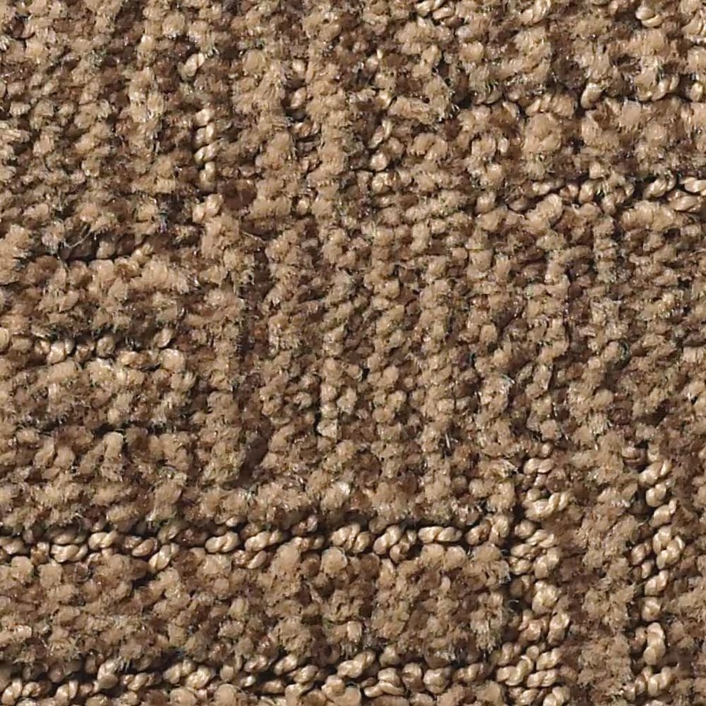 Anderson Tuftex Loredo Carpet in Desert Beach