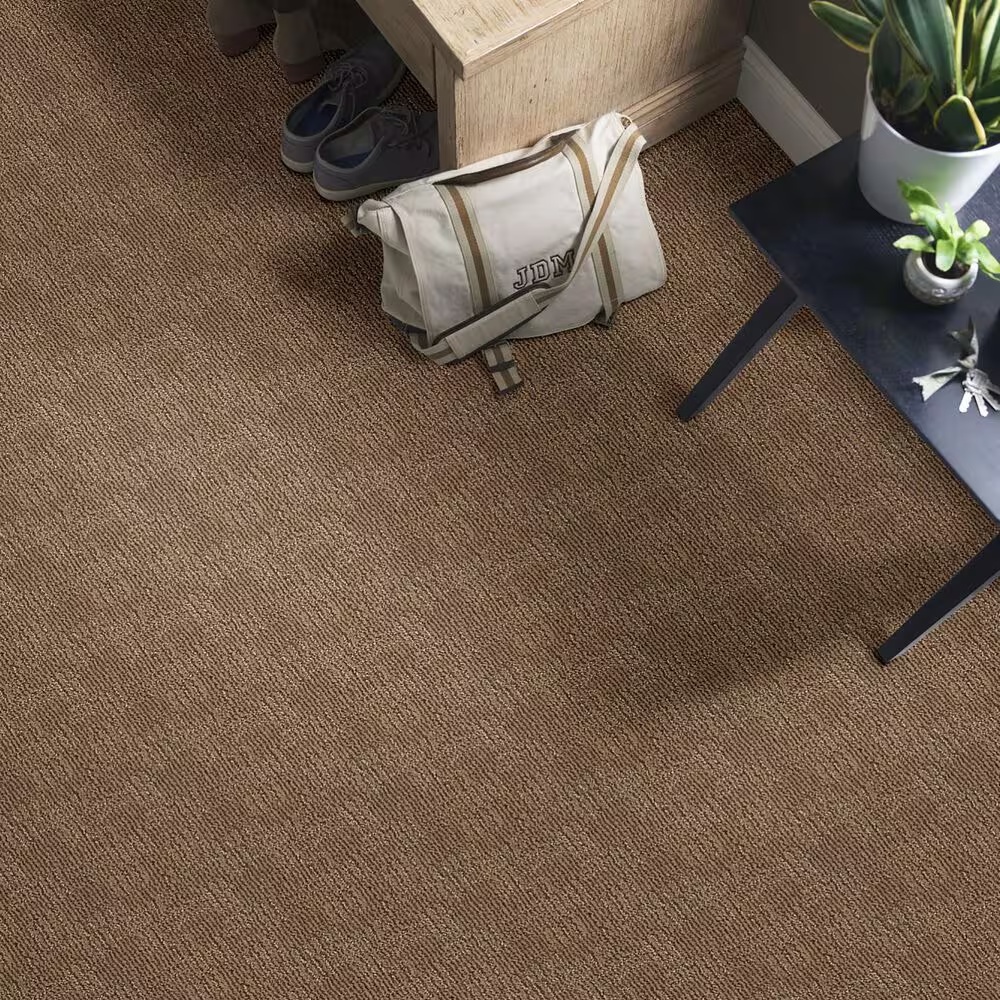 46782-anderson-tuftex-loredo-carpet-in-desert-beach-1.jpg