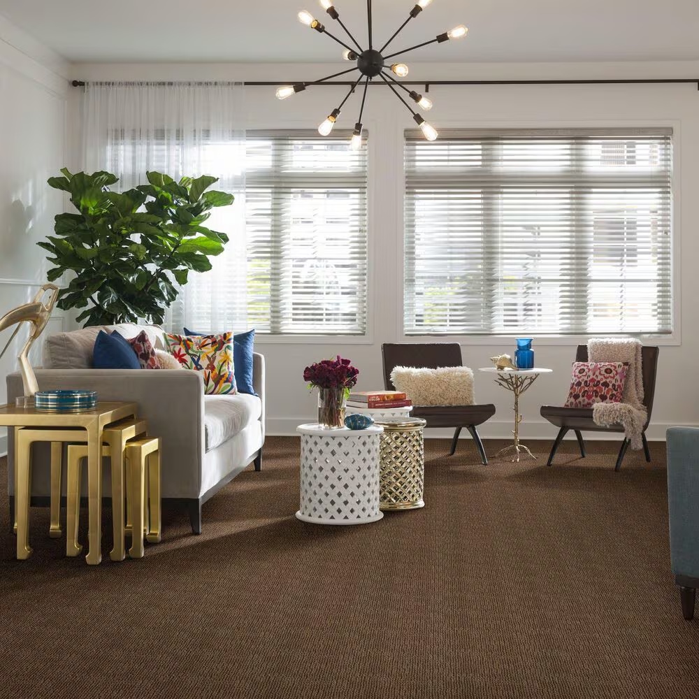 46782-anderson-tuftex-loredo-carpet-in-desert-beach-1.jpg