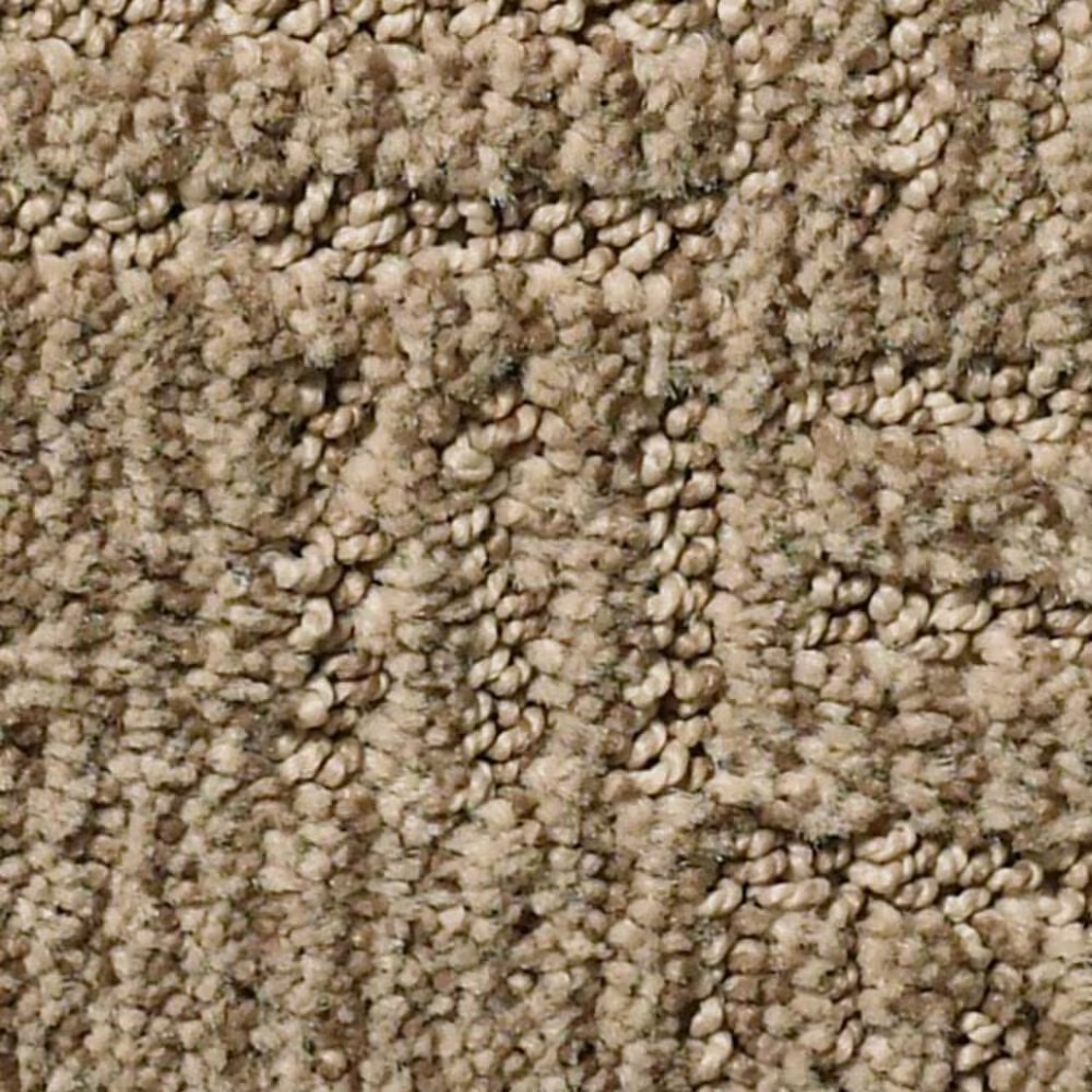 Anderson Tuftex Loredo Carpet in Bay Shore