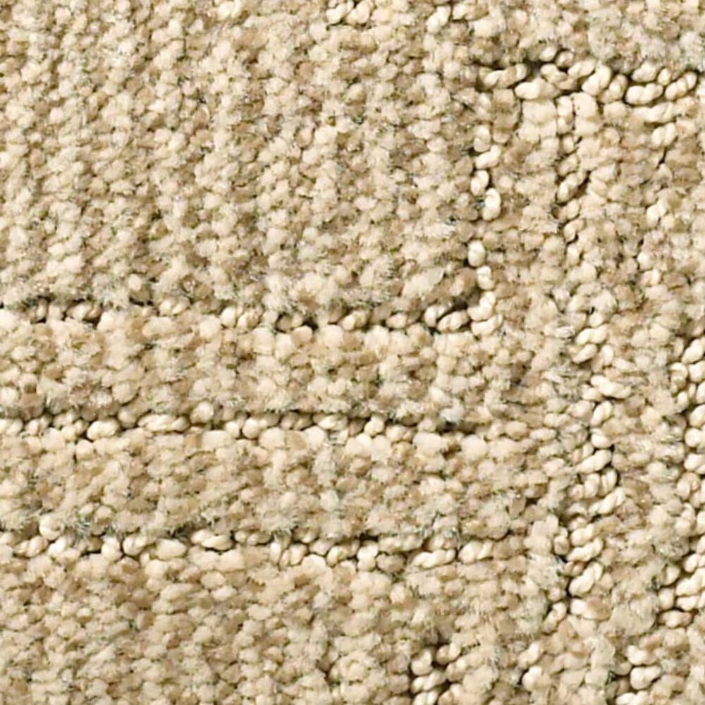 Anderson Tuftex Loredo Carpet in Antique