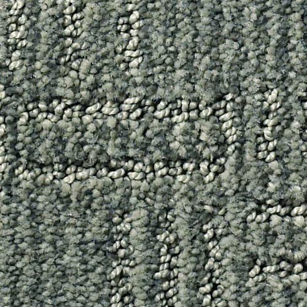 Anderson Tuftex Loredo Carpet in Scenic Drive
