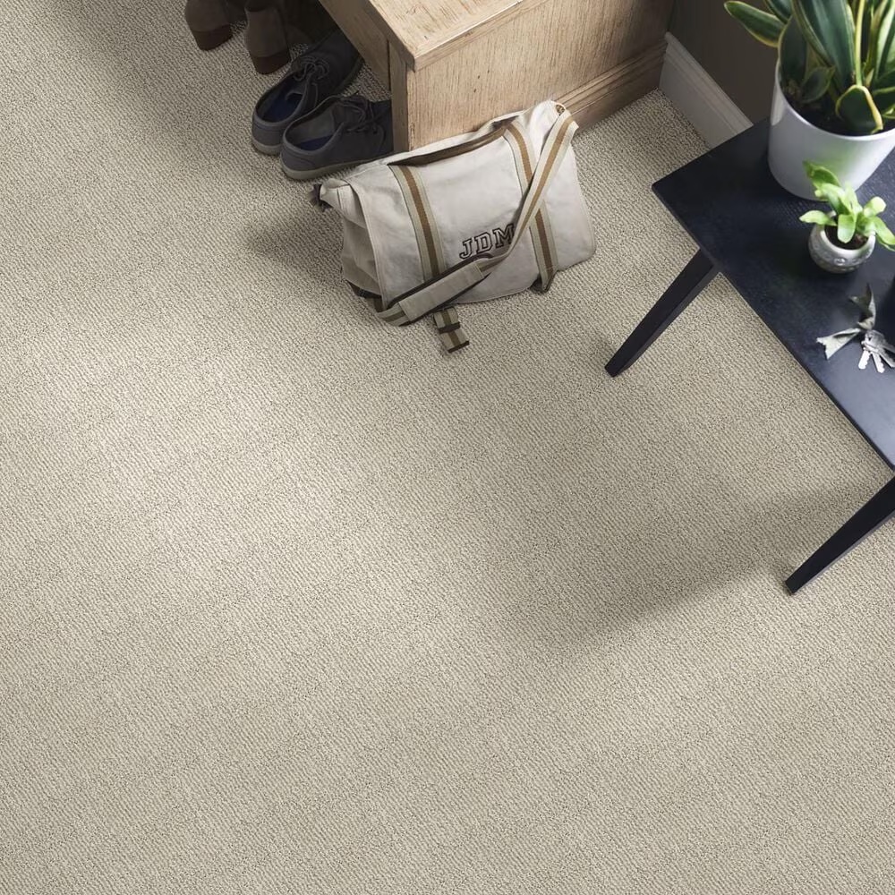 46795-anderson-tuftex-loredo-carpet-in-smokey-taupe-1.jpg