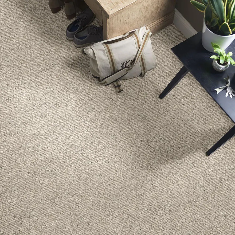 46796-anderson-tuftex-loredo-carpet-in-cocoa-sand-1.jpg