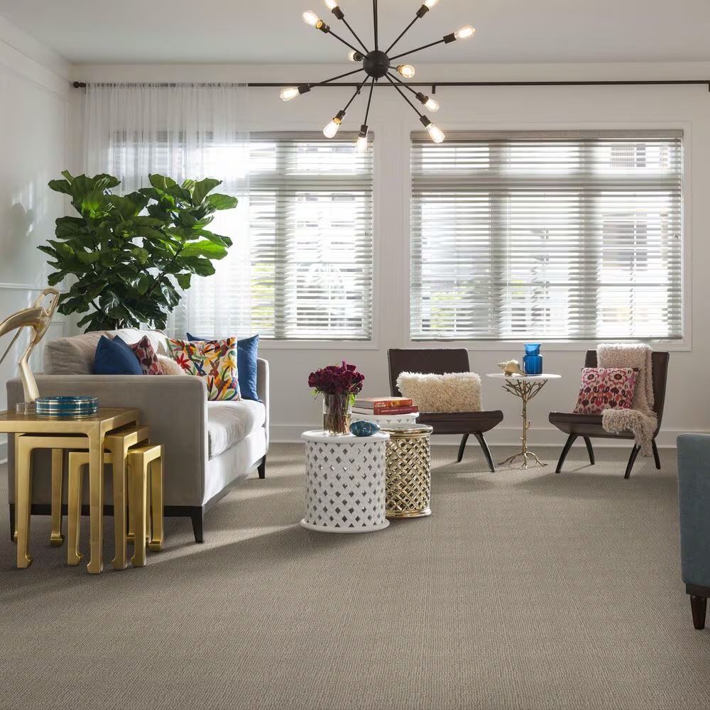 46796-anderson-tuftex-loredo-carpet-in-cocoa-sand-1.jpg