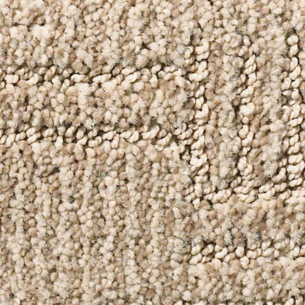 Anderson Tuftex Loredo Carpet in Twilight Gold