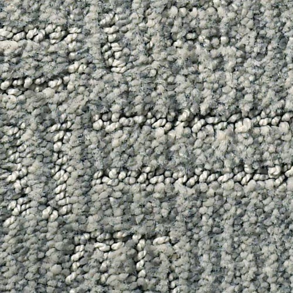 Anderson Tuftex Loredo Carpet in Swept Away