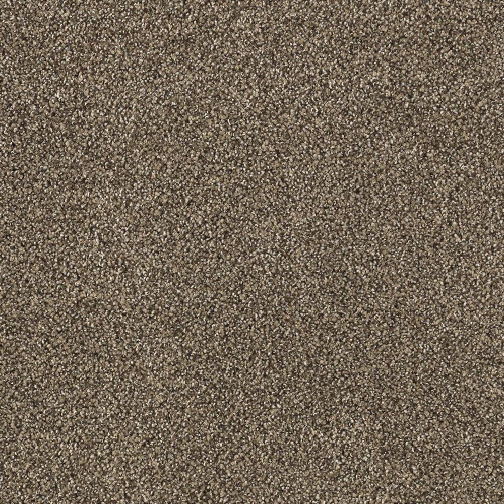 Karastan Upscale Living Carpet in Sequoia