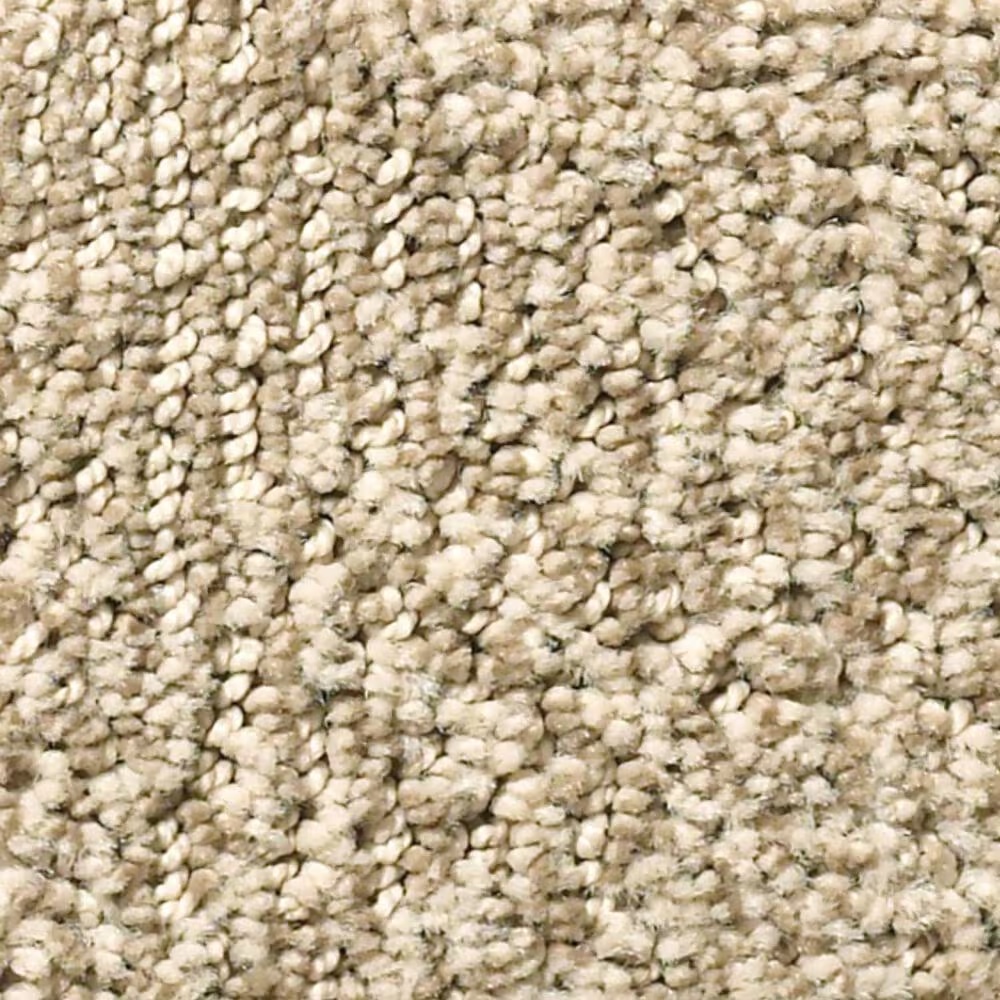 Anderson Tuftex Ario Carpet in Antique