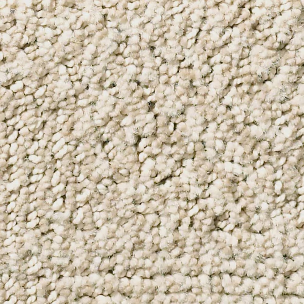 Anderson Tuftex Ario Carpet in Cream Soda